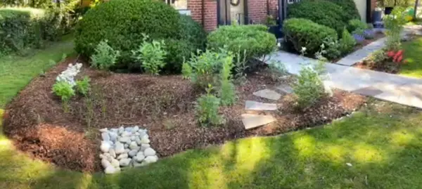 A rain garden like this one can soak up water from the sump pump discharge.