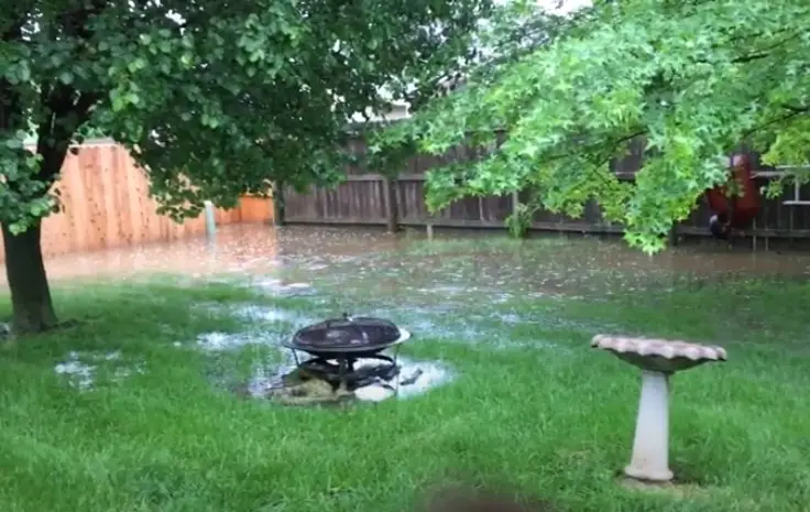 Slow draining backyard puddle. The problem could get worse if the basement sump adds water to the puddle.