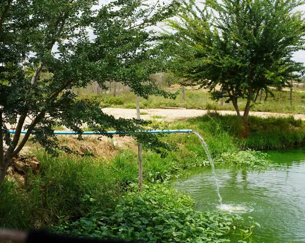 Water drainage pipe emptying water from a sump pump into a pond. When considering a sump pump vs French drain system the main consideration is how much water and how far away must it drain.