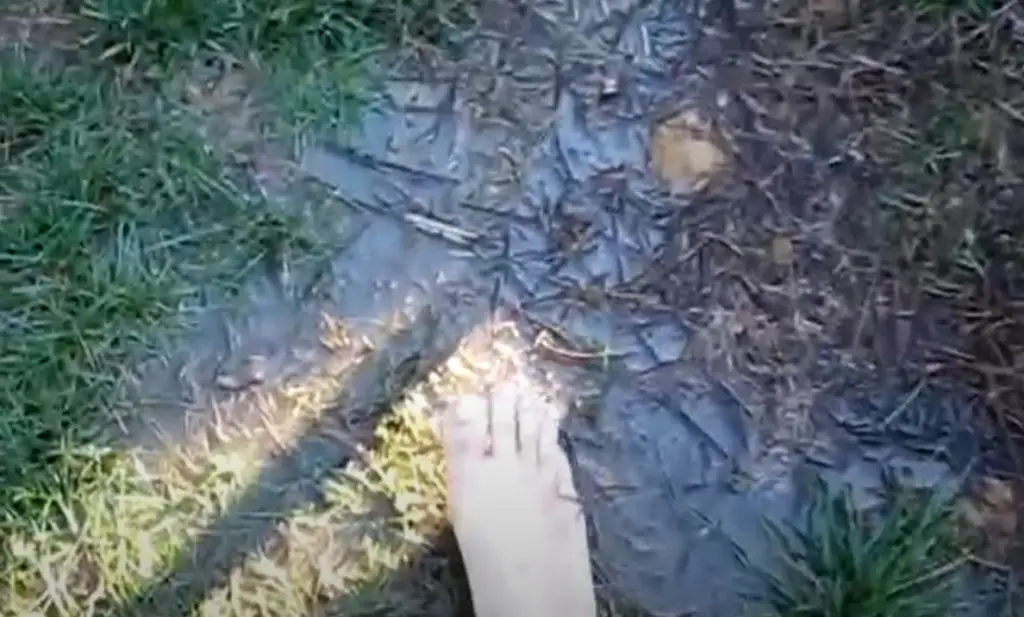 A man's bare foot over a water puddle growing in the yard.